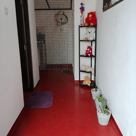 Aloka Home Stay Nuwara Eliya Kültér fotó